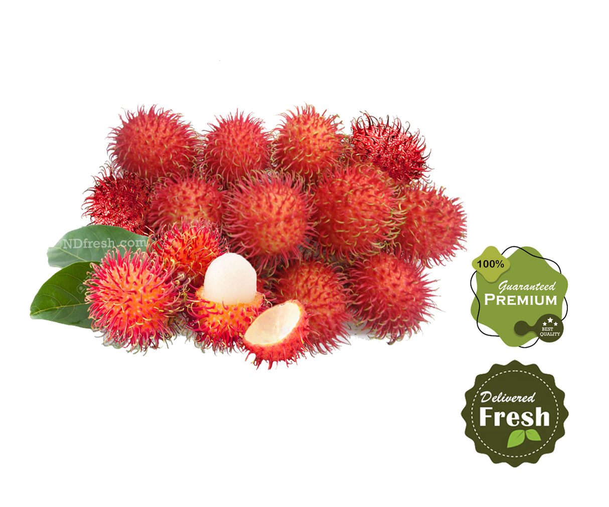 Rambutan Fruit