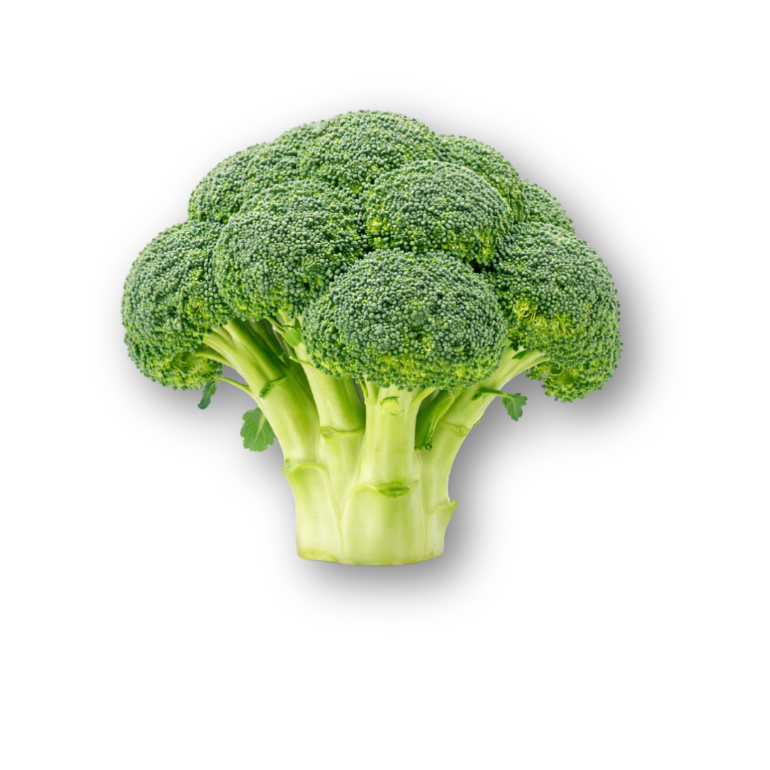 Fresh Broccoli – Farm Crisp Green Florets
