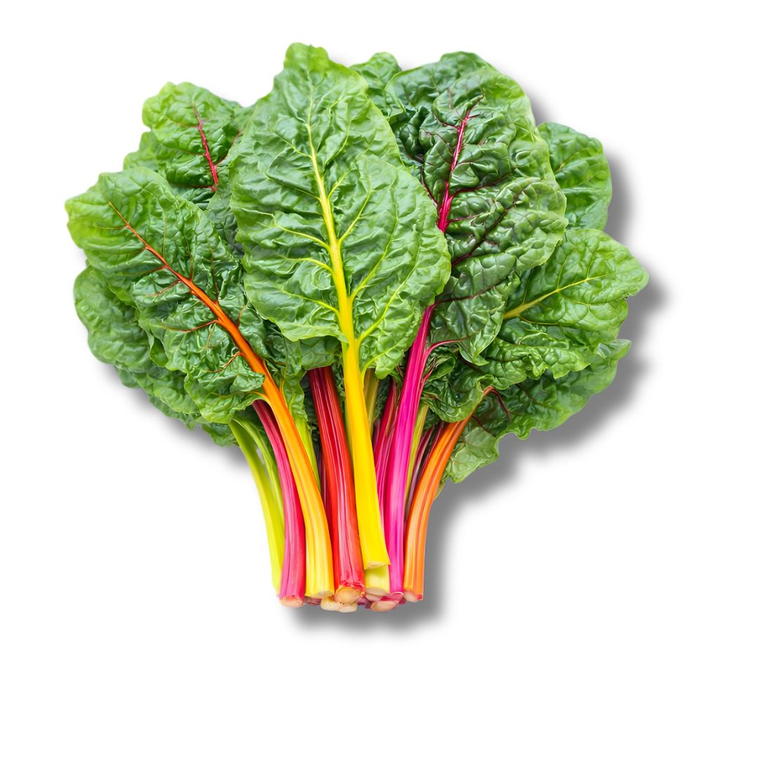 Organic Rainbow Swiss Chard – Fresh & Colourful Leafy Greens