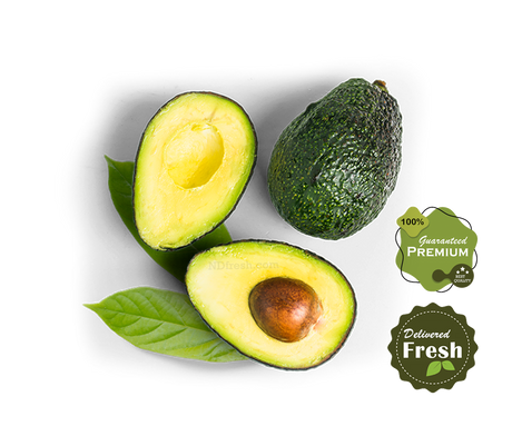 Avocado- 5 Pack