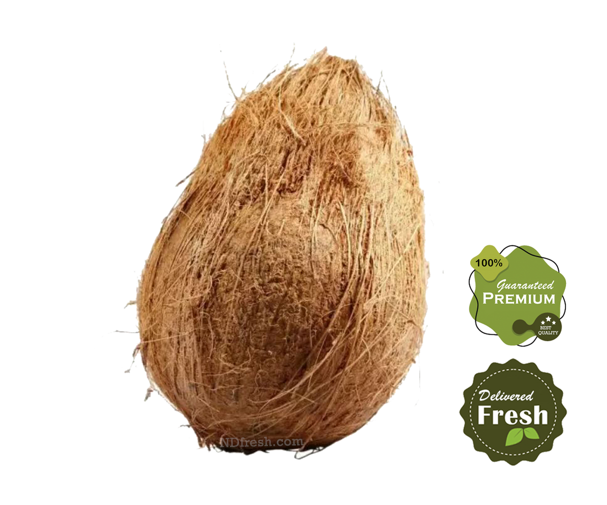 Coconut