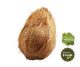 Coconut