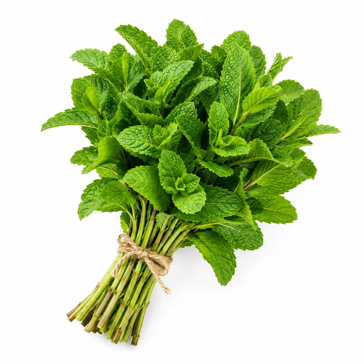 Fresh Mint – Sold in Bunches