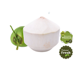 Fresh Tender Coconut (Each)