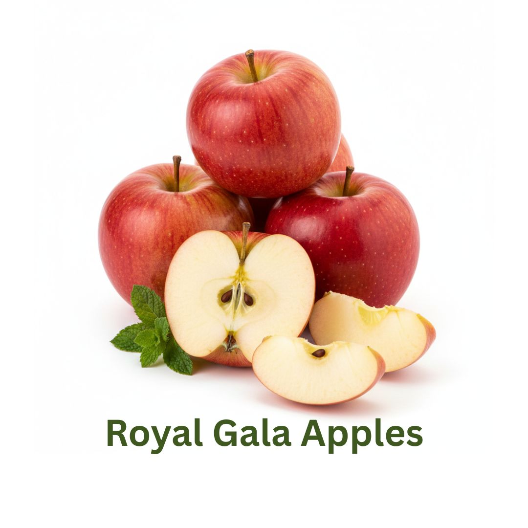 Royal Gala Apples – Sweet & Aromatic