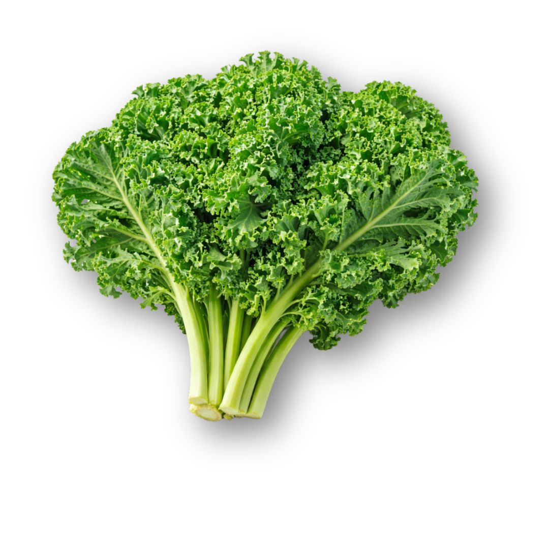 Fresh Kale Leaves – Nutrient-Rich Super Greens