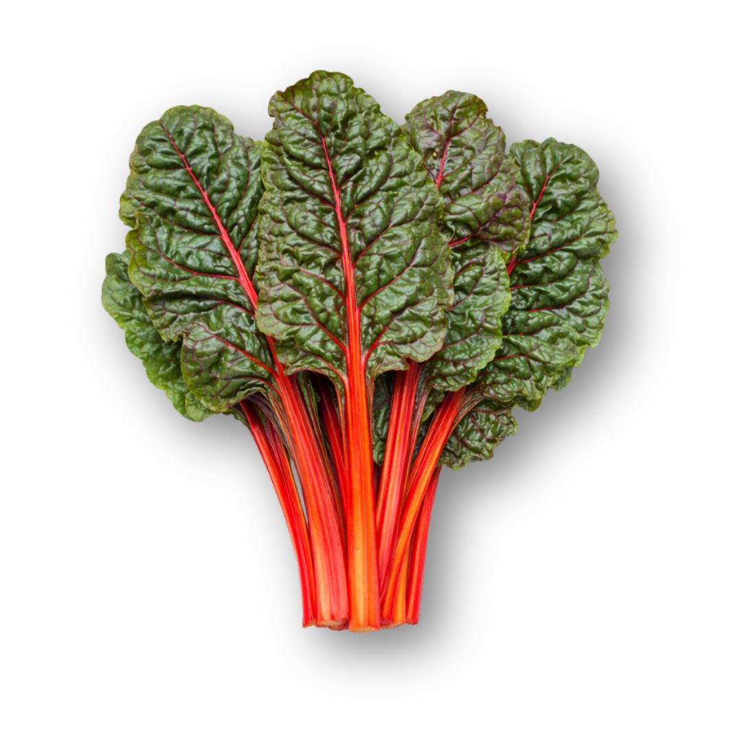 Swiss Chard Red – Fresh & Colourful Leafy Greens